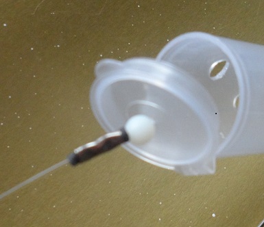 SAM_1061sea feeder 3